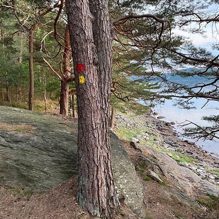Cottage - Majviken Ljungskile Zewnętrze zdjęcie